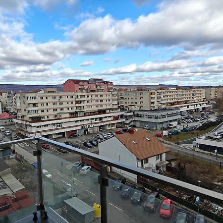 Park Lake Near Iulius Mall, Wi-Fi, Walk-In Showe Cluj-Napoca Luaran gambar